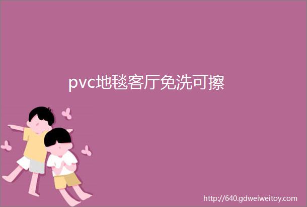 pvc地毯客厅免洗可擦