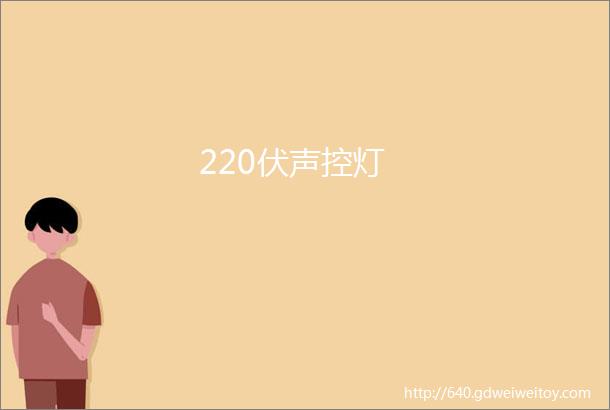 220伏声控灯